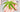 What Are Cannabinoids? - High Heavens